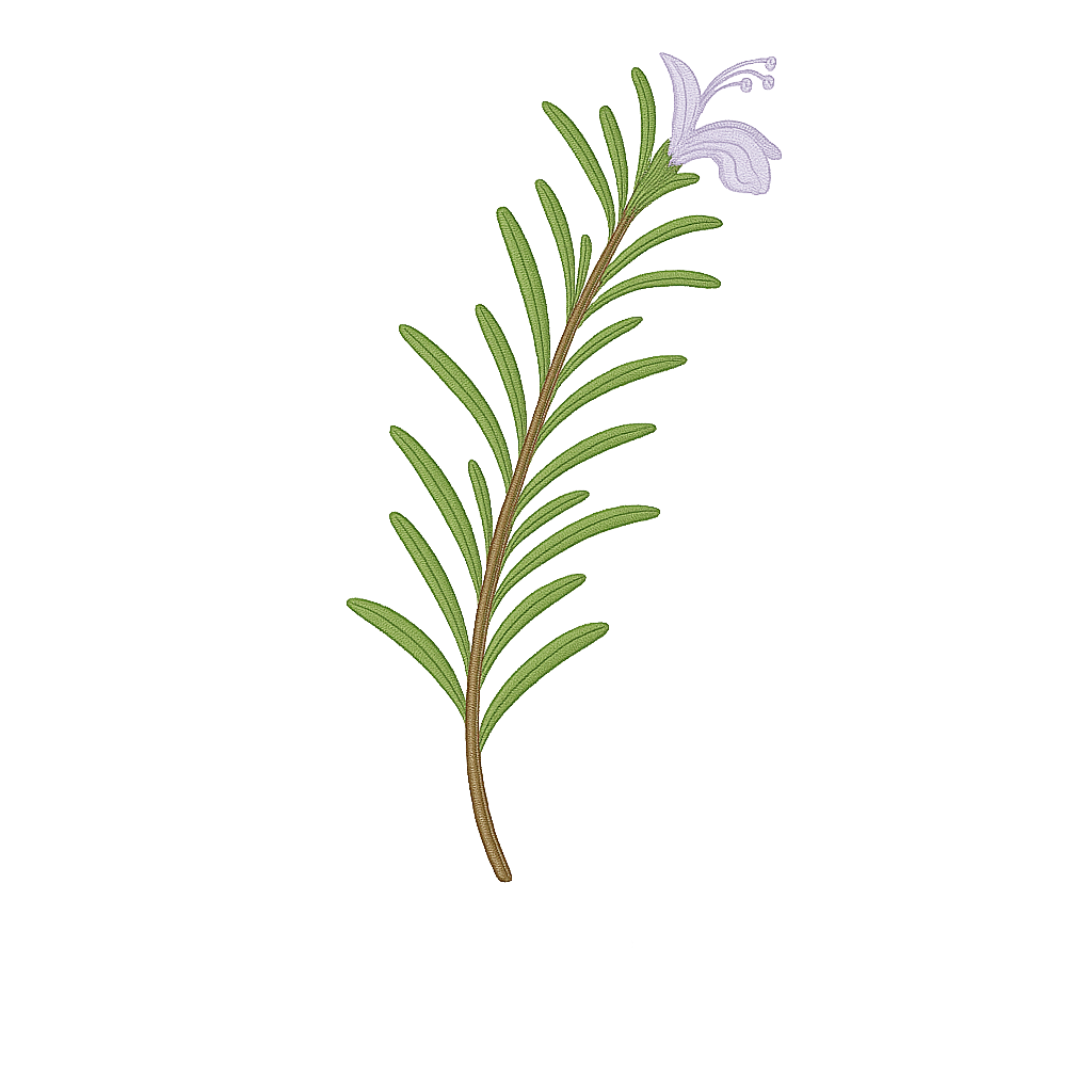 ROSEMARY ESSENTIAL OIL CINEOL